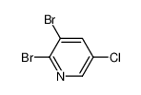 Picture of 5-Chloro-2,3-dibromopyridine