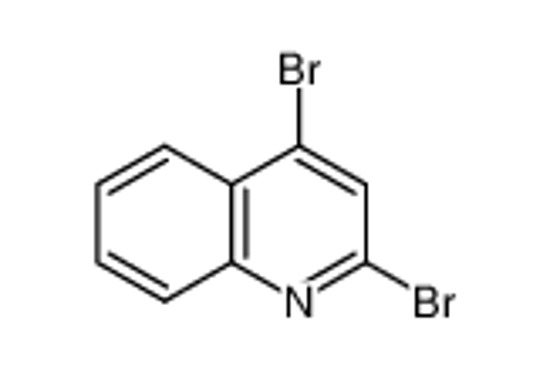 Imagem de 2,4-dibromoquinoline