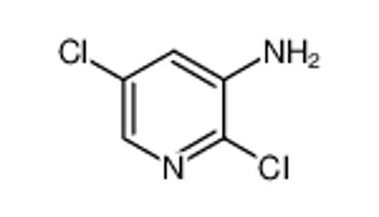 Picture of 3-Amino-2,5-dichloropyridine