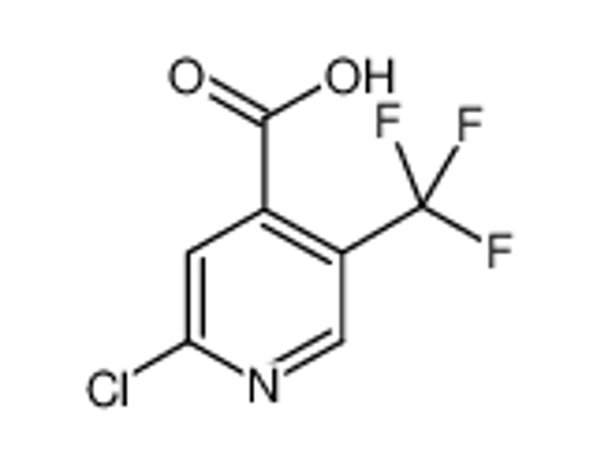 Picture of 2-Chloro-5-(Trifluoromethyl)Isonicotinic Acid