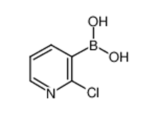 Picture of 2-Chloro-3-pyridylboronic acid