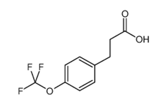 Picture of 3-[4-(trifluoromethoxy)phenyl]propanoic acid