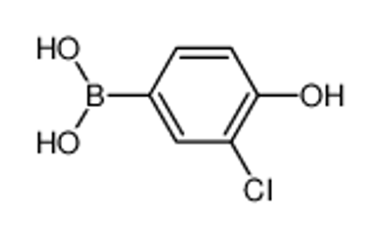 Picture of (3-chloro-4-hydroxyphenyl)boronic acid