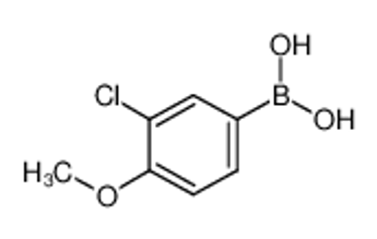 Picture of 3-Chloro-4-Methoxyphenylboronic Acid