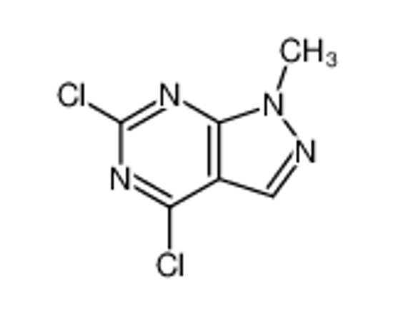 Picture of 4,6-dichloro-1-methylpyrazolo[3,4-d]pyrimidine