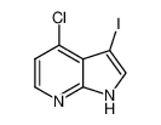 Picture of 4-chloro-3-iodo-1H-pyrrolo[2,3-b]pyridine