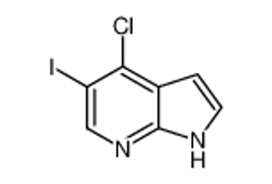 Picture of 4-Chloro-5-iodo-1H-pyrrolo[2,3-b]pyridine