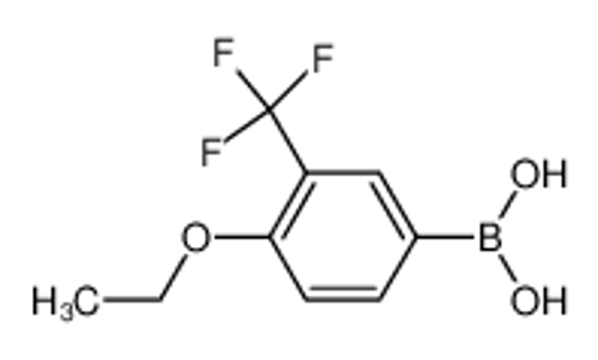 Picture of 4-Ethoxy-2-(trifluoromethyl)phenylboronic acid