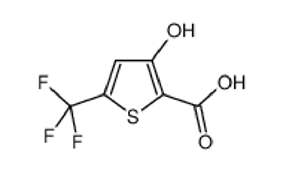 Picture of 3-Hydroxy-5-trifluoromethylthiophene-2-carboxylic acid