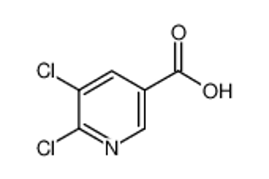 Picture of 5,6-Dichloronicotinic acid