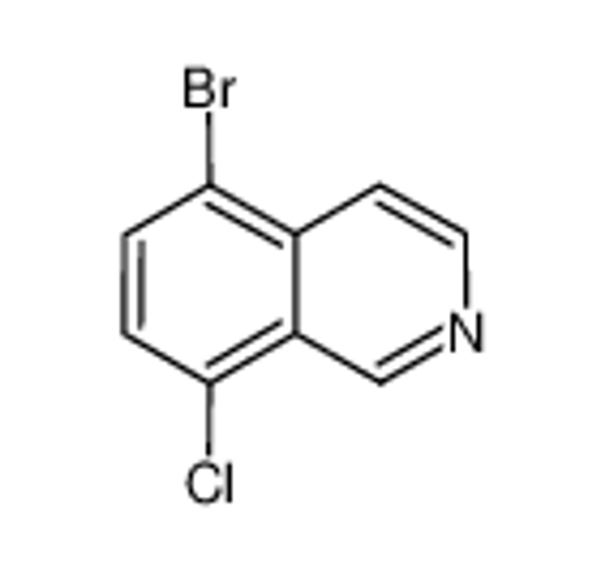 Picture of 5-Bromo-8-chloroisoquinoline