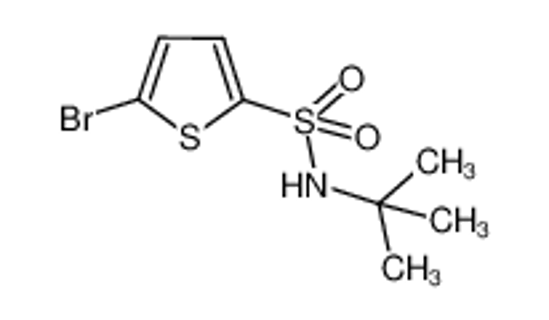 Picture of 5-bromo-N-tert-butylthiophene-2-sulfonamide