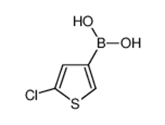 Picture of (5-chlorothiophen-3-yl)boronic acid