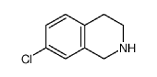 Picture of 7-Chloro-1,2,3,4-tetrahydroisoquinoline