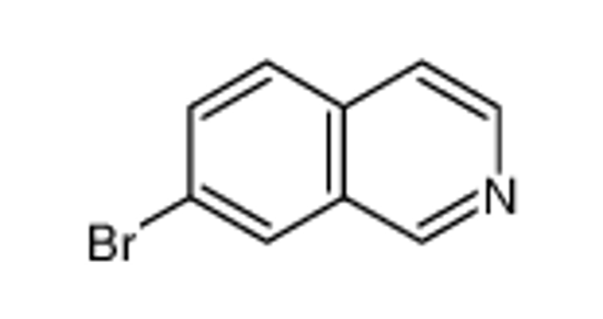 Picture of 7-Bromoisoquinoline