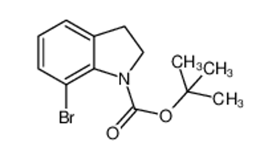 Picture of tert-Butyl 7-bromoindoline-1-carboxylate