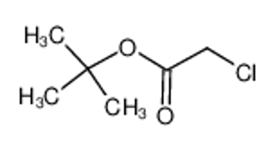 Изображение tert-Butyl chloroacetate