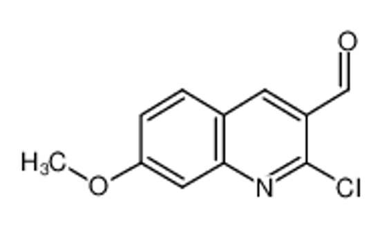 Picture of 2-Chloro-7-methoxy-3-quinolinecarbaldehyde