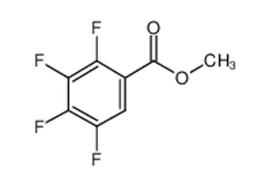 Picture of 2,3,4,5-TETRAFLUORO-BENZOIC ACID METHYL ESTER