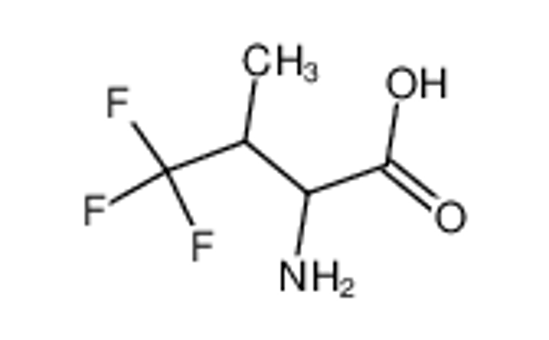 Picture of 4,4,4-TRIFLUORO-DL-VALINE