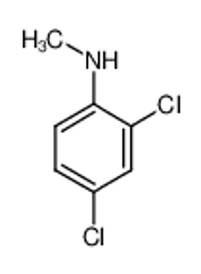 Picture of N-Methyl 2,4-dichloroaniline