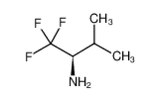 Picture of DL-2-Amino-1,1,1-trifluoro-3-methylbutane