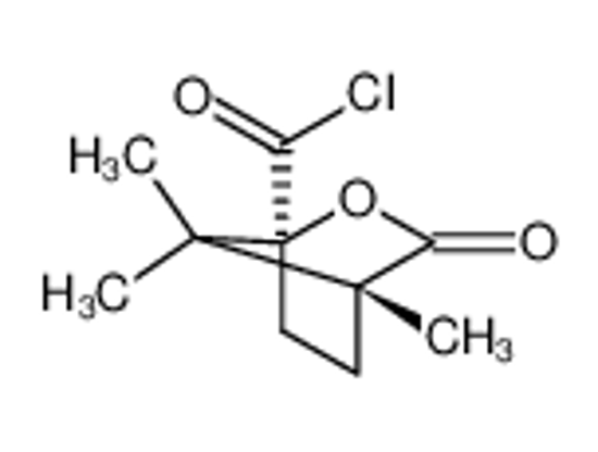 Изображение (-)-Camphanic acid chloride