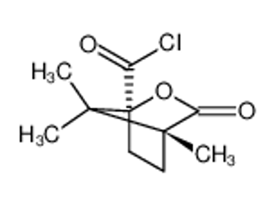 Picture of (-)-Camphanic acid chloride