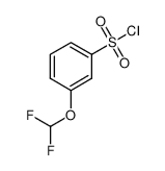 Picture of 3-(DIFLUOROMETHOXY)BENZENESULFONYL CHLORIDE