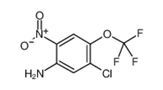Picture of 5-Chloro-2-nitro-4-(trifluoromethoxy)aniline