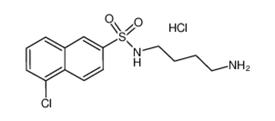 Picture of N-(4-aminobutyl)-5-chloronaphthalene-2-sulfonamide,hydrochloride