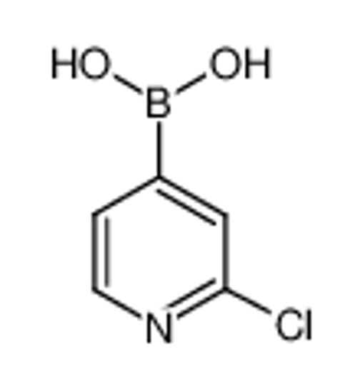 Picture of 2-Chloro-4-pyridylboronic acid
