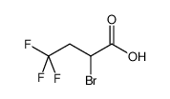Picture of 2-bromo-4,4,4-trifluorobutanoic acid