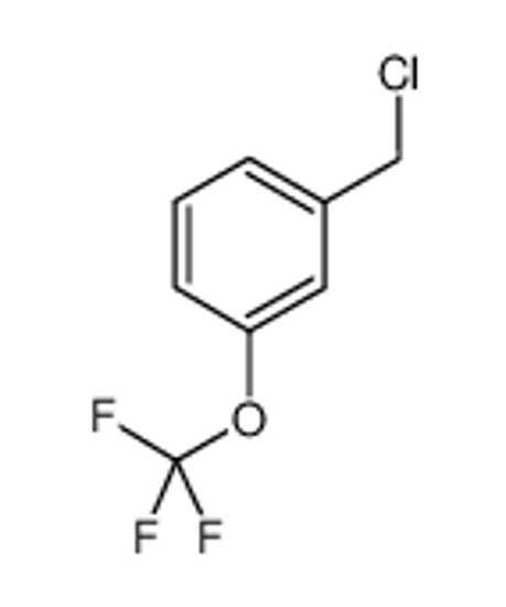 Изображение 1-(Chloromethyl)-3-(trifluoromethoxy)benzene