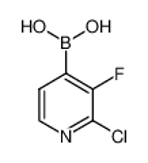 Изображение 2-Chloro-3-Fluoropyridine-4-Boronic Acid