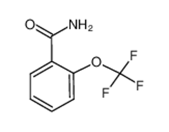 Imagem de 2-(TRIFLUOROMETHOXY)BENZAMIDE