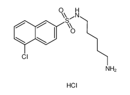 Picture of N-(5-Aminopentyl)-5-chloro-2-naphthalenesulfonamide Hydrochloride
