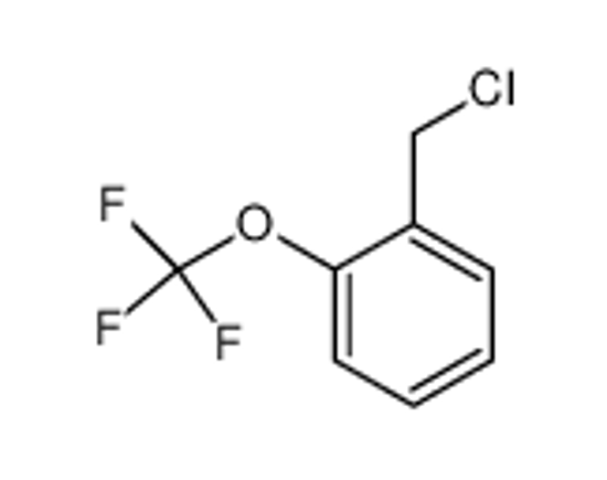 Picture of 1-(Chloromethyl)-2-(trifluoromethoxy)benzene