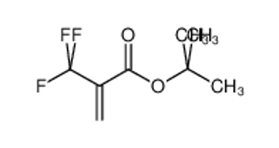 Picture of tert-Butyl 2-(trifluoromethyl)acrylate