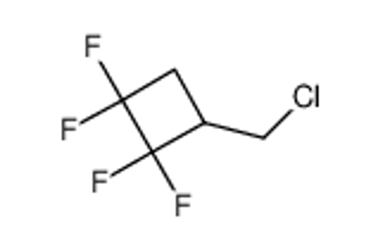 Picture of 3-(chloromethyl)-1,1,2,2-tetrafluorocyclobutane