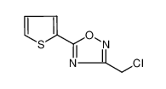 Picture of 3-(chloromethyl)-5-thiophen-2-yl-1,2,4-oxadiazole