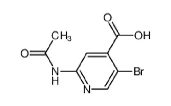 Picture of 2-Acetamido-5-bromoisonicotinic acid