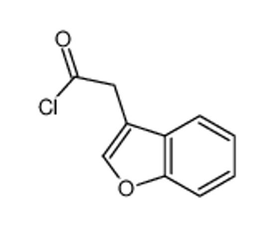 Picture of 2-(1-benzofuran-3-yl)acetyl chloride