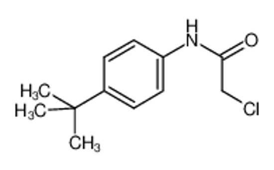Picture of N-(4-tert-butylphenyl)-2-chloroacetamide