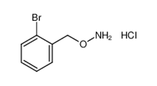 Picture of 1-[(Aminooxy)methyl]-2-bromobenzene hydrochloride