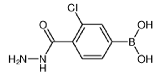 Picture of [3-chloro-4-(hydrazinecarbonyl)phenyl]boronic acid