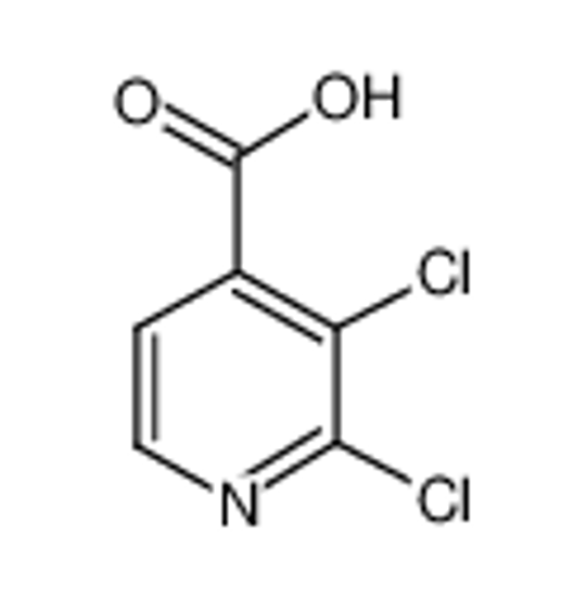 Picture of 2,3-Dichloroisonicotinic acid