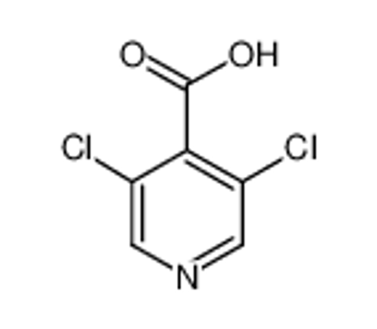 Picture of 3,5-DICHLOROISONICOTINIC ACID