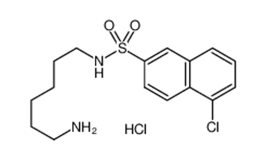 Picture of N-(6-aminohexyl)-5-chloronaphthalene-2-sulfonamide,hydrochloride