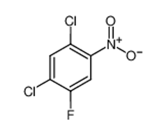 Picture of 2,4-Dichloro-5-fluoronitrobenzene
